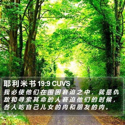 耶 利 米 书 19:9 CUVS Bible Verse Image