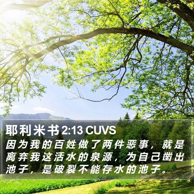 耶 利 米 书 2:13 CUVS Bible Verse Image