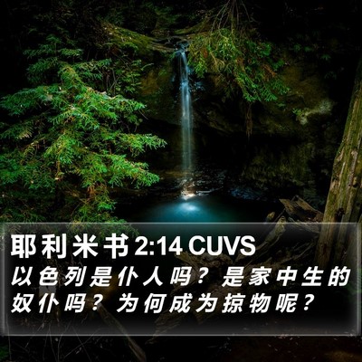 耶 利 米 书 2:14 CUVS Bible Verse Image