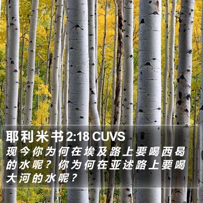 耶 利 米 书 2:18 CUVS Bible Verse Image
