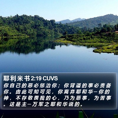 耶 利 米 书 2:19 CUVS Bible Verse Image