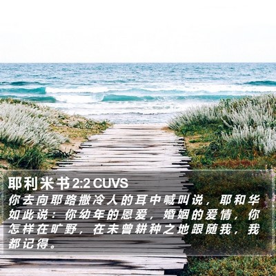 耶 利 米 书 2:2 CUVS Bible Verse Image