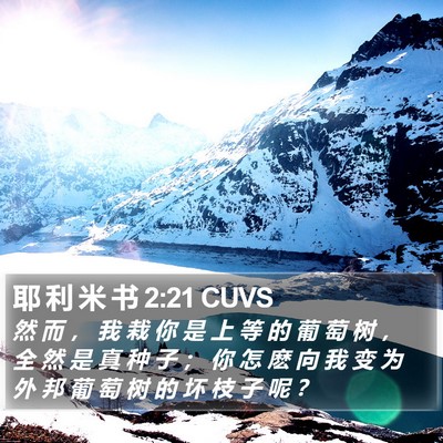 耶 利 米 书 2:21 CUVS Bible Verse Image
