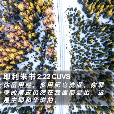 耶 利 米 书 2:22 CUVS Bible Verse Image