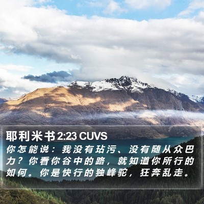 耶 利 米 书 2:23 CUVS Bible Verse Image