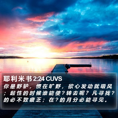 耶 利 米 书 2:24 CUVS Bible Verse Image