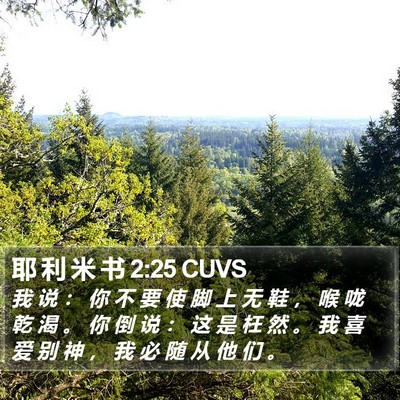 耶 利 米 书 2:25 CUVS Bible Verse Image