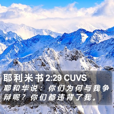 耶 利 米 书 2:29 CUVS Bible Verse Image