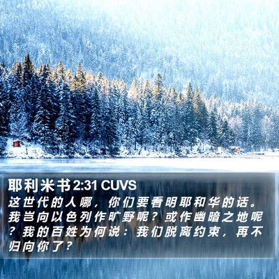 耶 利 米 书 2:31 CUVS Bible Verse Image