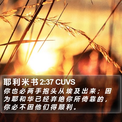 耶 利 米 书 2:37 CUVS Bible Verse Image