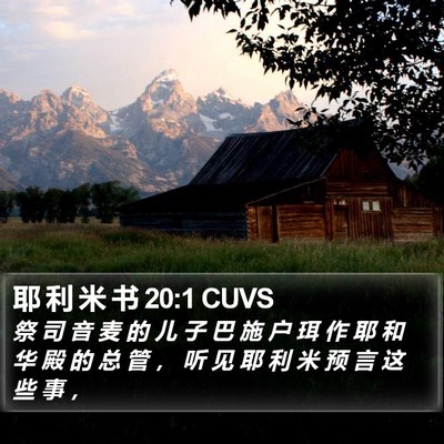 耶 利 米 书 20:1 CUVS Bible Verse Image
