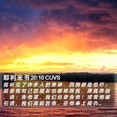 耶 利 米 书 20:10 CUVS Bible Verse Image
