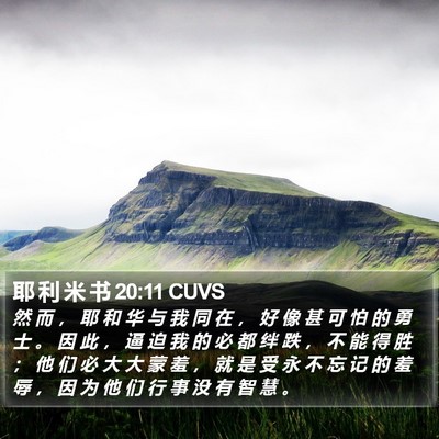 耶 利 米 书 20:11 CUVS Bible Verse Image