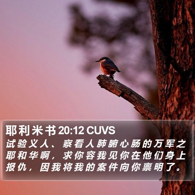 耶 利 米 书 20:12 CUVS Bible Verse Image
