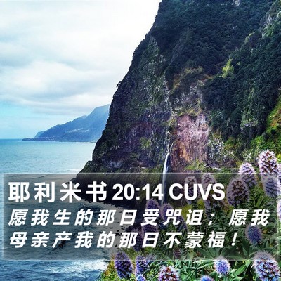 耶 利 米 书 20:14 CUVS Bible Verse Image