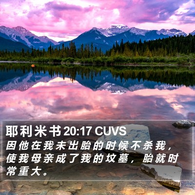 耶 利 米 书 20:17 CUVS Bible Verse Image