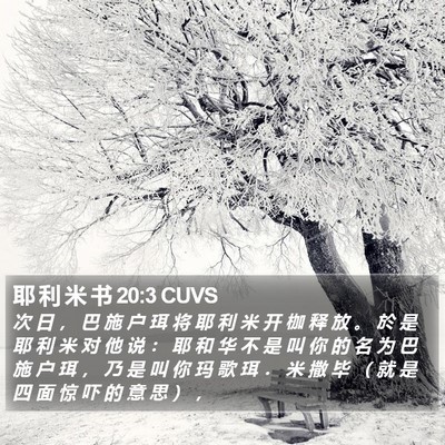 耶 利 米 书 20:3 CUVS Bible Verse Image