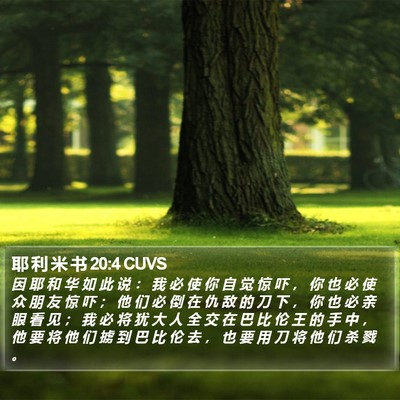 耶 利 米 书 20:4 CUVS Bible Verse Image