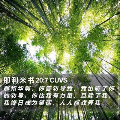 耶 利 米 书 20:7 CUVS Bible Verse Image