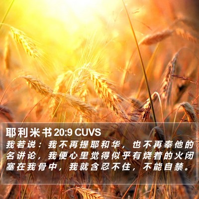 耶 利 米 书 20:9 CUVS Bible Verse Image