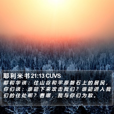 耶 利 米 书 21:13 CUVS Bible Verse Image