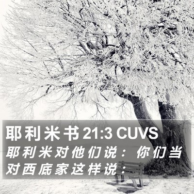 耶 利 米 书 21:3 CUVS Bible Verse Image