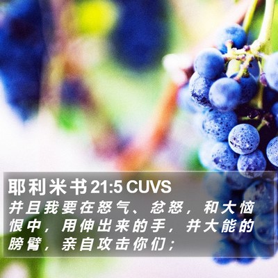 耶 利 米 书 21:5 CUVS Bible Verse Image