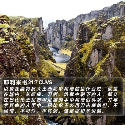 耶 利 米 书 21:7 CUVS Bible Verse Image