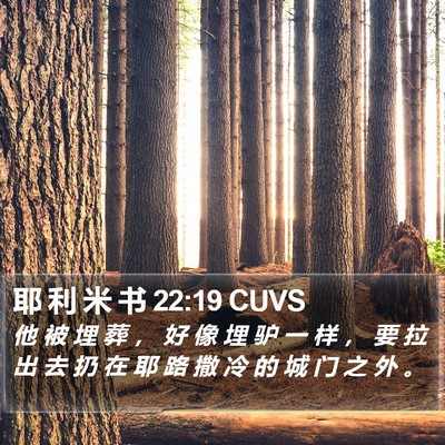 耶 利 米 书 22:19 CUVS Bible Verse Image