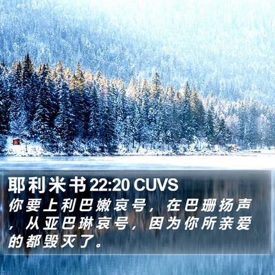 耶 利 米 书 22:20 CUVS Bible Verse Image