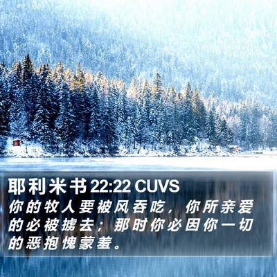 耶 利 米 书 22:22 CUVS Bible Verse Image