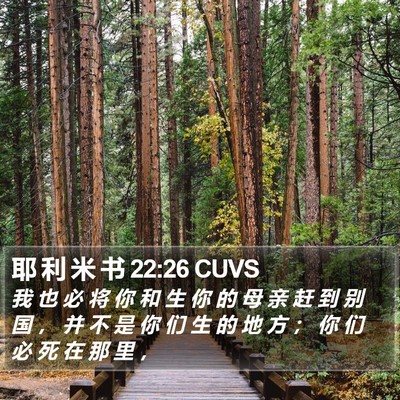 耶 利 米 书 22:26 CUVS Bible Verse Image