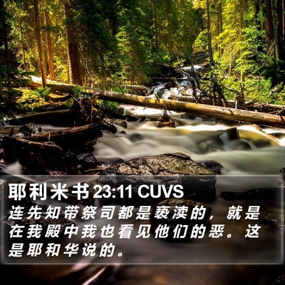 耶 利 米 书 23:11 CUVS Bible Verse Image