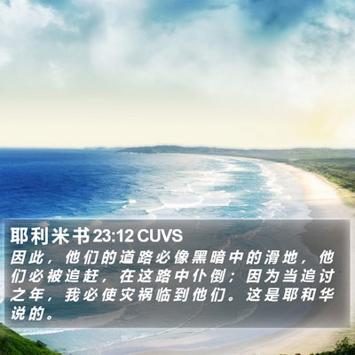 耶 利 米 书 23:12 CUVS Bible Verse Image