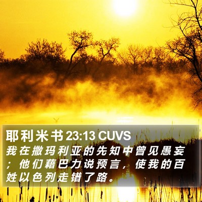 耶 利 米 书 23:13 CUVS Bible Verse Image