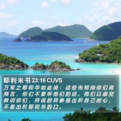 耶 利 米 书 23:16 CUVS Bible Verse Image