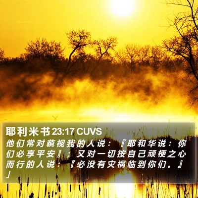 耶 利 米 书 23:17 CUVS Bible Verse Image