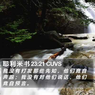 耶 利 米 书 23:21 CUVS Bible Verse Image