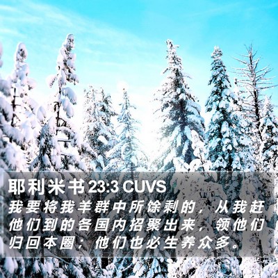 耶 利 米 书 23:3 CUVS Bible Verse Image