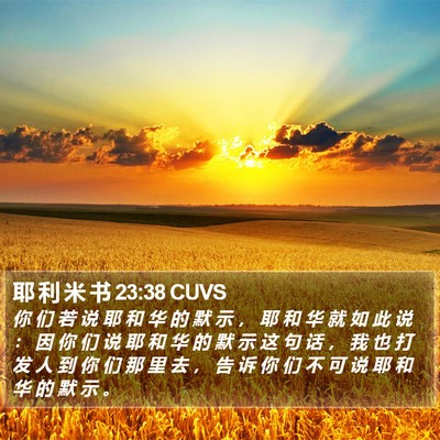 耶 利 米 书 23:38 CUVS Bible Verse Image