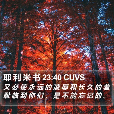 耶 利 米 书 23:40 CUVS Bible Verse Image