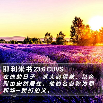 耶 利 米 书 23:6 CUVS Bible Verse Image