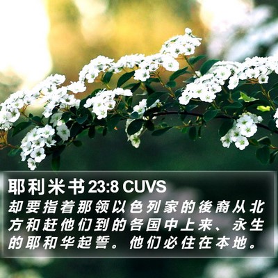 耶 利 米 书 23:8 CUVS Bible Verse Image