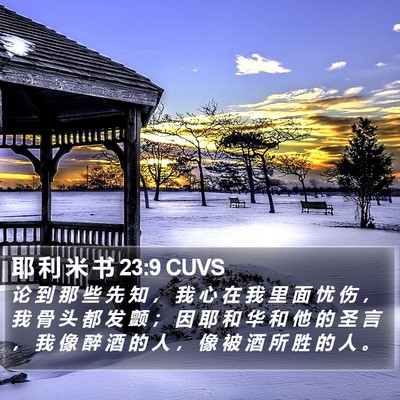 耶 利 米 书 23:9 CUVS Bible Verse Image