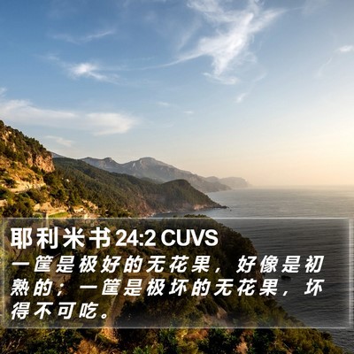 耶 利 米 书 24:2 CUVS Bible Verse Image