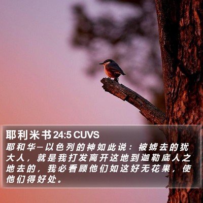 耶 利 米 书 24:5 CUVS Bible Verse Image