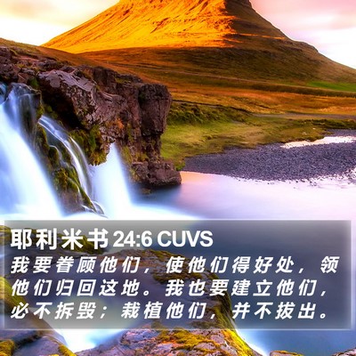 耶 利 米 书 24:6 CUVS Bible Verse Image