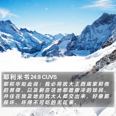 耶 利 米 书 24:8 CUVS Bible Verse Image