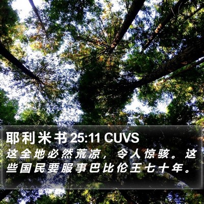 耶 利 米 书 25:11 CUVS Bible Verse Image