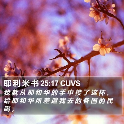 耶 利 米 书 25:17 CUVS Bible Verse Image